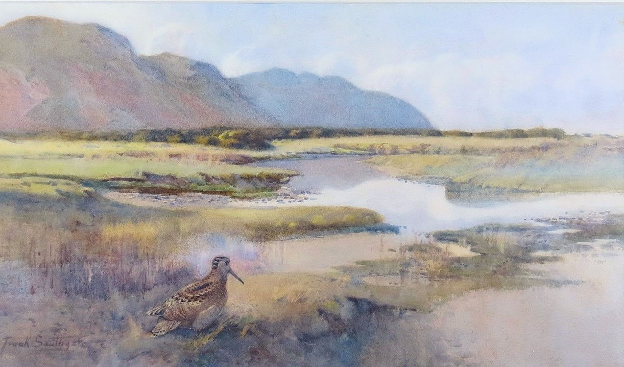 Frank Southgate - Woodcock in Marshland