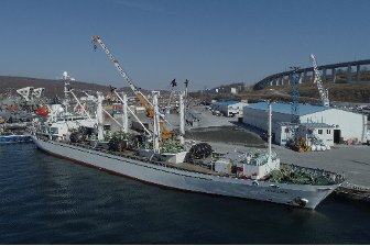 Амфитрита.png