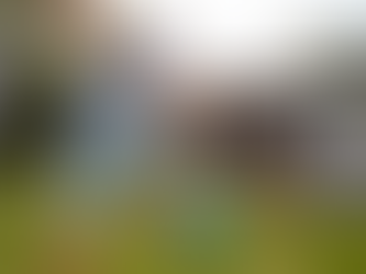 Hot Buy Locations for Homes in the North Bay