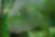 Perimeter Pest Control Johnson County KS.jpg