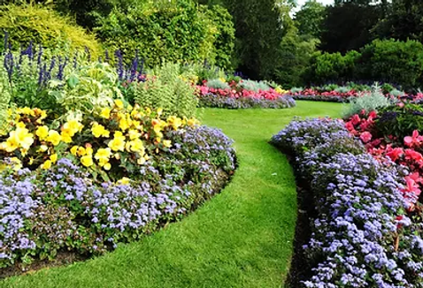 Landscape Bed Weed Prevention Overland Park, KS