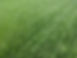 Lawn Overseeding Johnson County KS