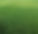Lawn Fertilization & Weed Control in Prairie Village, KS