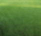 Lawn Fertilization & Weed Control in Louisburg, KS
