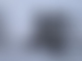 Obstbaumpflege Buscha