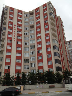 Uluskent Yazısı 2