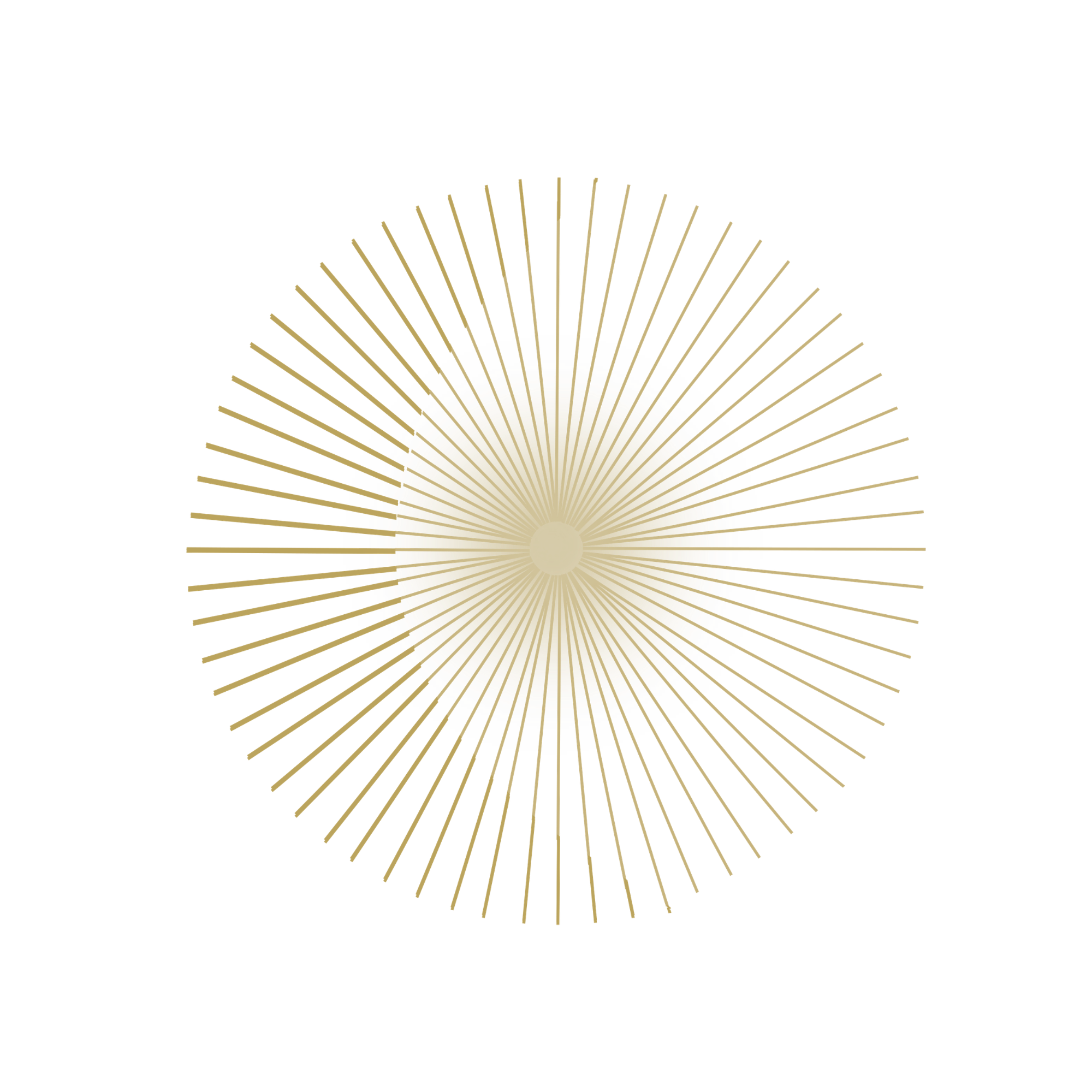 Untitled design (77).png