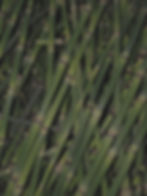 0127e826-76fc-4944-8013-e8a2ed179f58_edited.jpg