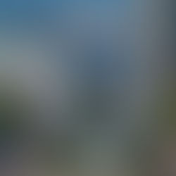 Living Local: Why Colorado Springs Is One of the Best Places to Call Home