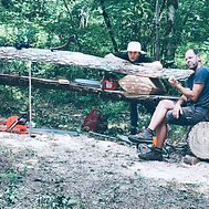 Domestic Wild, Ariane Patout et René Müller, artistes, créateur et designer