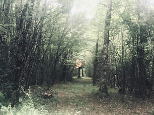 image00025.jpeg
