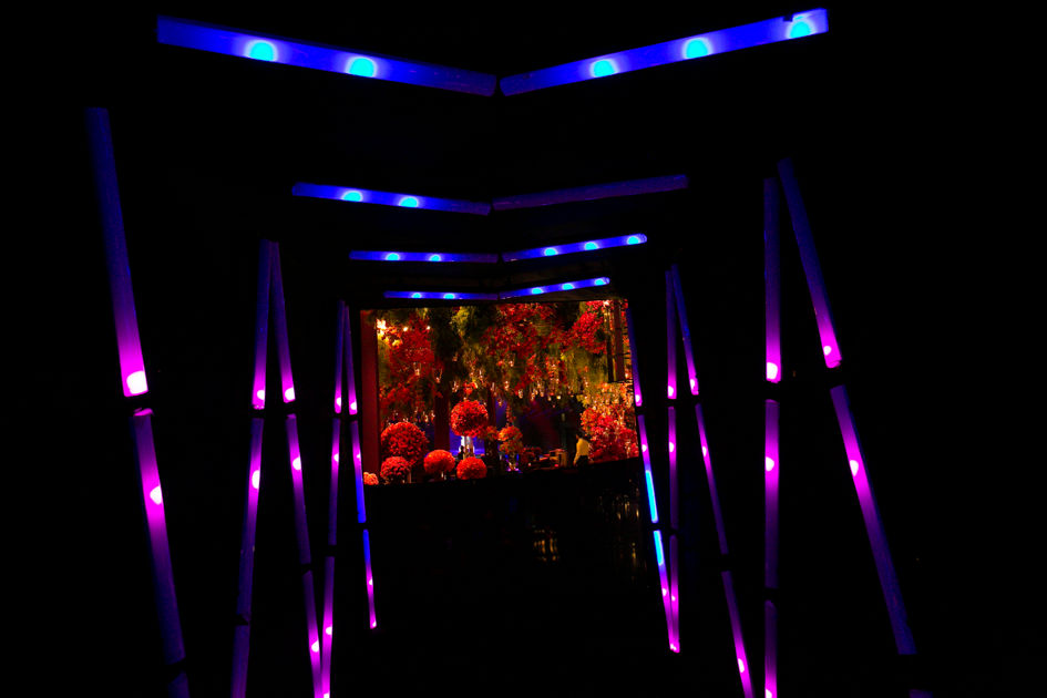 Valéria Leão - 1172.jpg