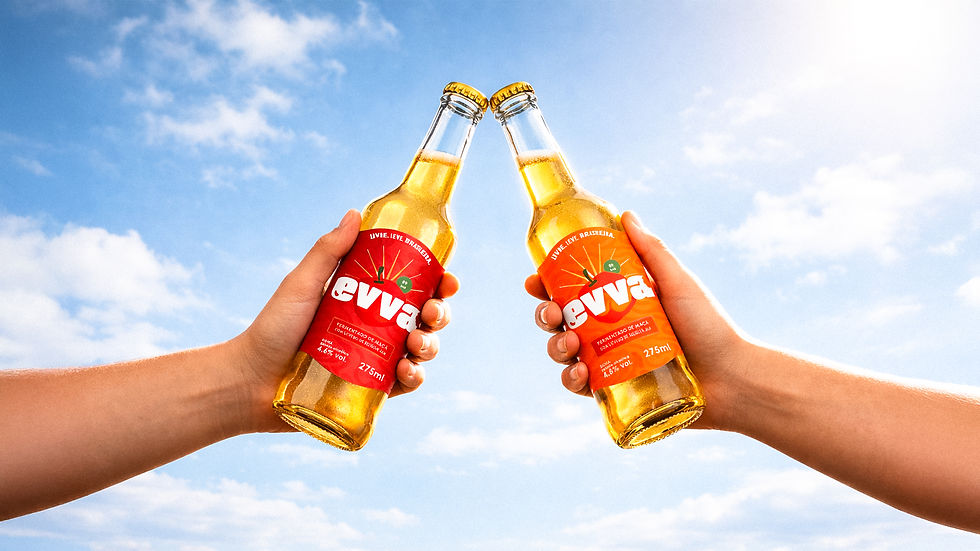 EVVA-Header.jpg