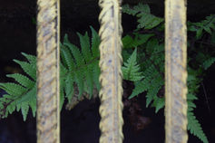 gui- melhorfoto-v640-f5-6-iso3200.JPG