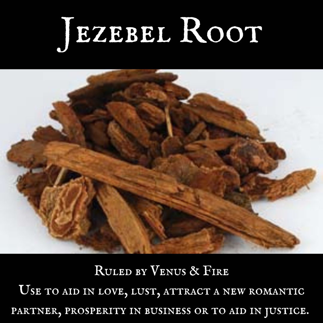 Jezebel Root