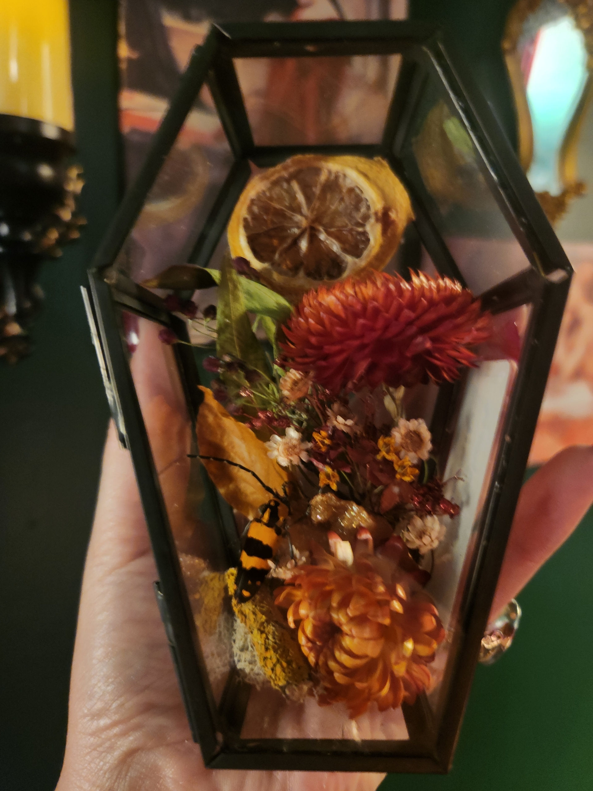 Longhorn Beetle & Vanadinite Coffin Mini World by Terrorium Shop