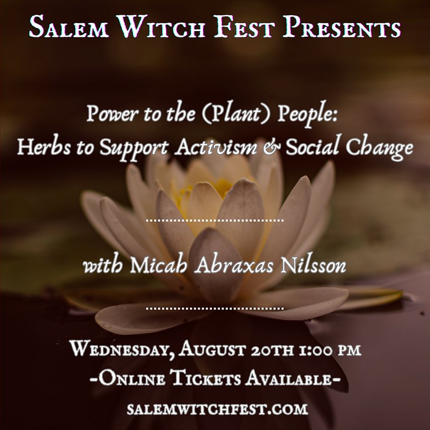 Power to the (Plant) People: Herbs to Support Activism & Social Change with Micah Abraxas Nilsson