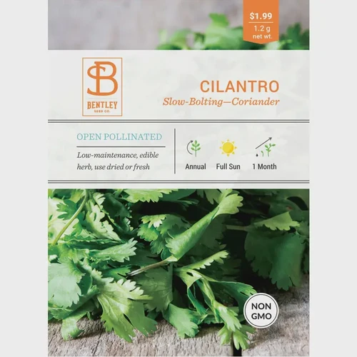 Cilantro/CorianderSlow Bolting The Cauldron Black