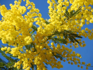 Коли закінчиться війна...