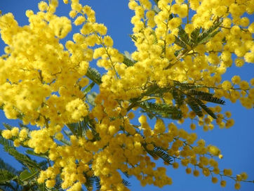 Коли закінчиться війна...