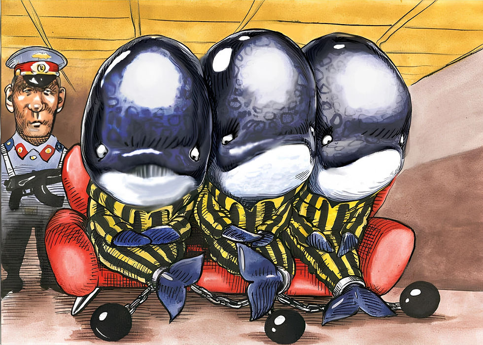 Про "три кити" усіх проблем країни та три головних реформи