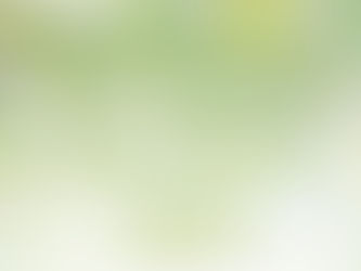 Spring Cleaning Your HR: 4 Compliance Items Every Small Business Owner Should Check Off Before May