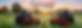 banner 1.png