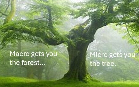 Micro ABM is micro-focused.