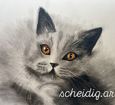 katze.1.JPG