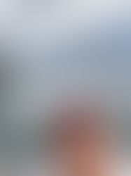 STEPS TO YOUR FRESH START