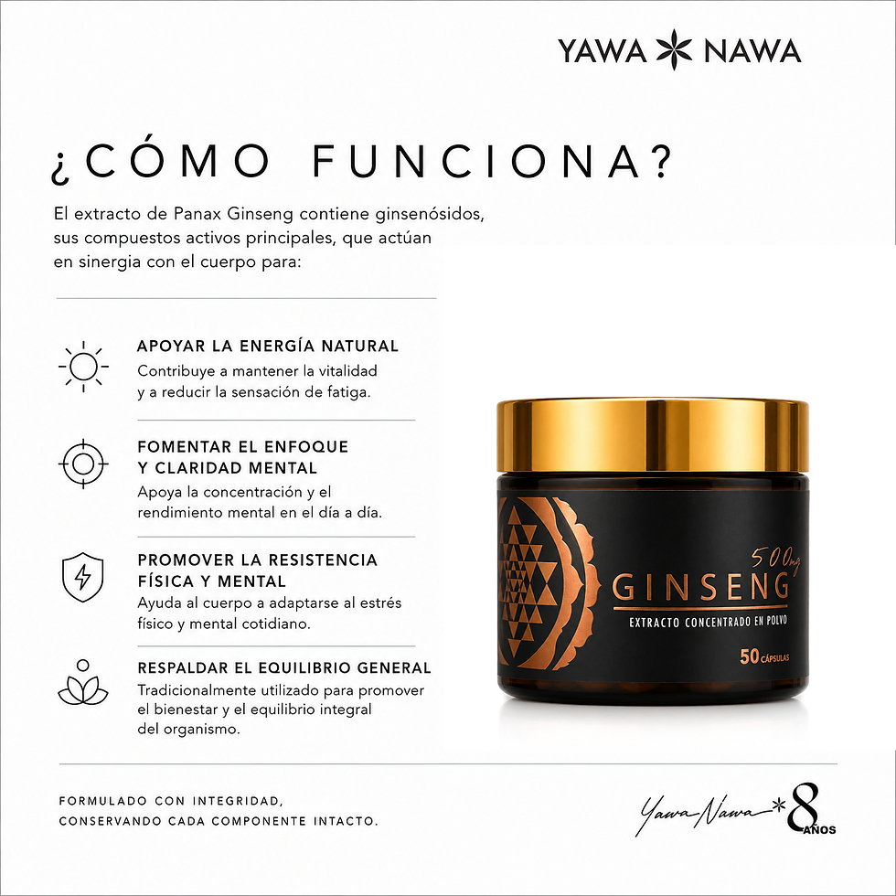 Miniatura: Panax Ginseng Extracto 5:1. 50 Cápsulas. 50 Días de energía y vitalidad
