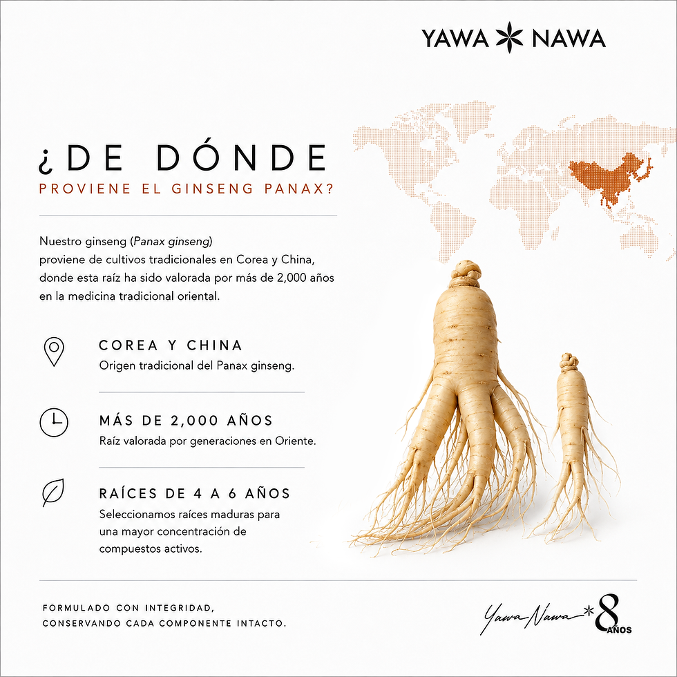 Miniatura: Panax Ginseng Extracto 5:1. 50 Cápsulas. 50 Días de energía y vitalidad