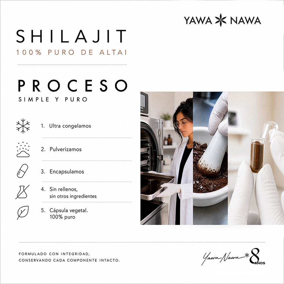 Miniatura: Shilajit 100% Puro Micronizado  100 Cápsulas 500
