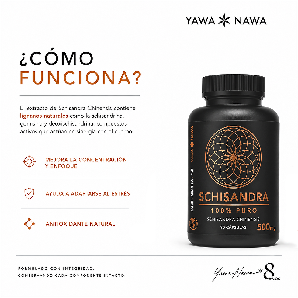 Miniatura: Schisandra 50 Cápsulas, Calma para 50 dias