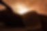 Screen Shot 2021-10-25 at 7.41.45 PM.png