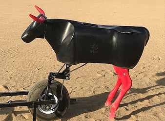 Cruz Fire roping machine, roping dummy