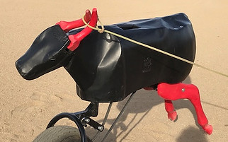 Cruz Fire roping machine, roping dummy