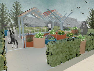  Dundee's V&A Community Garden
