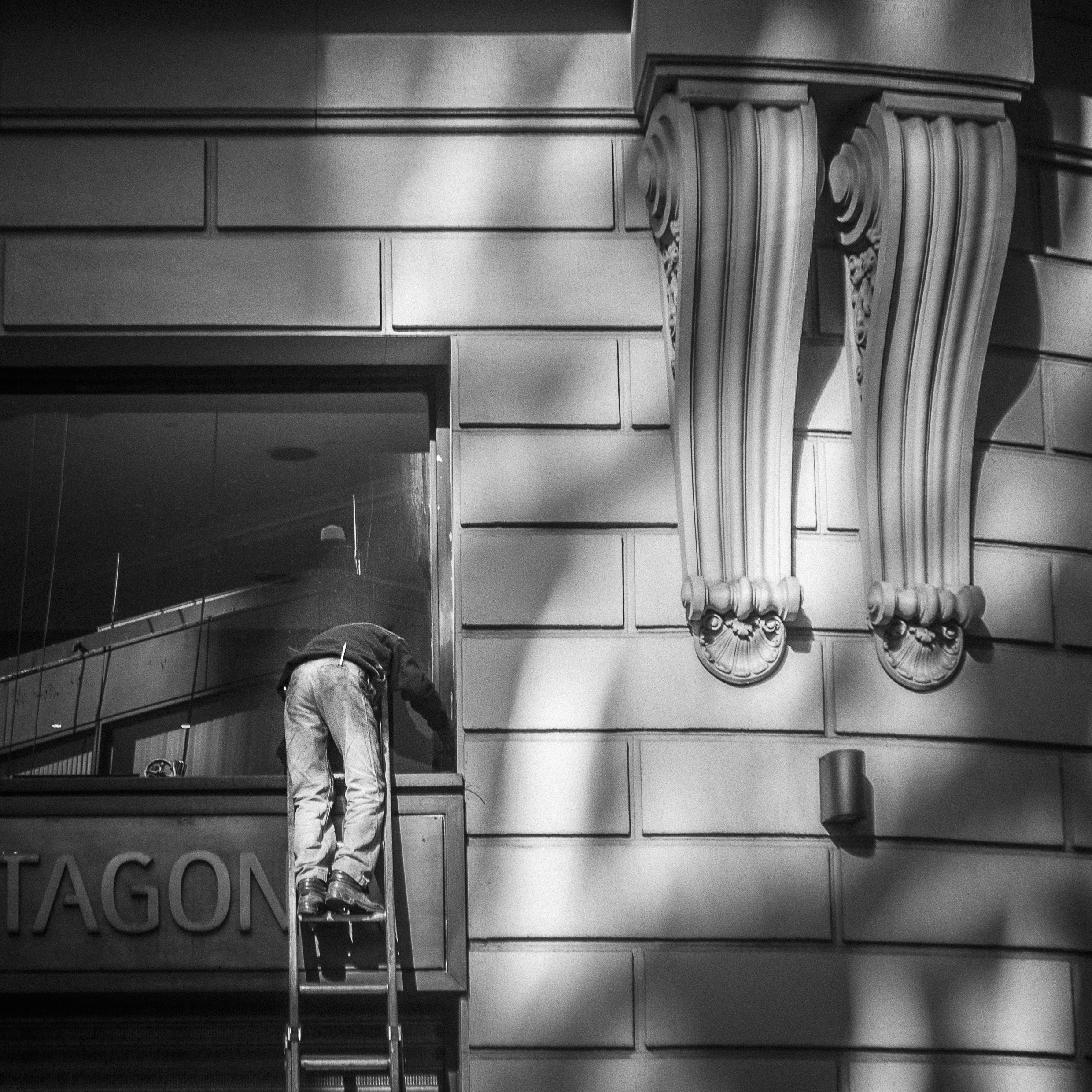 _DSC0342
