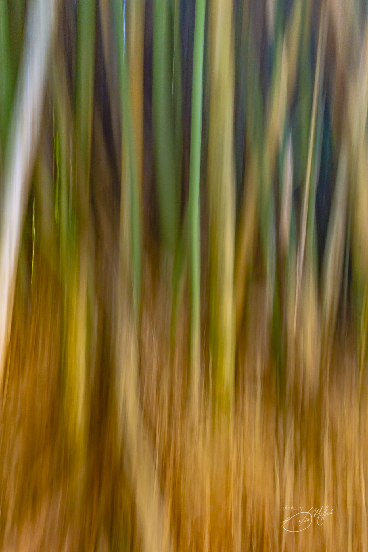 _DSC1120