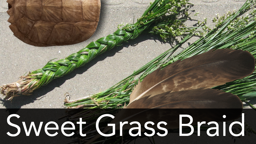 Sweet Grass