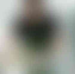 The wilderness chef personal chef pacific palms