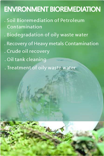 environment