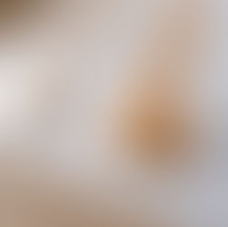  クッキー・箱デザインを担当