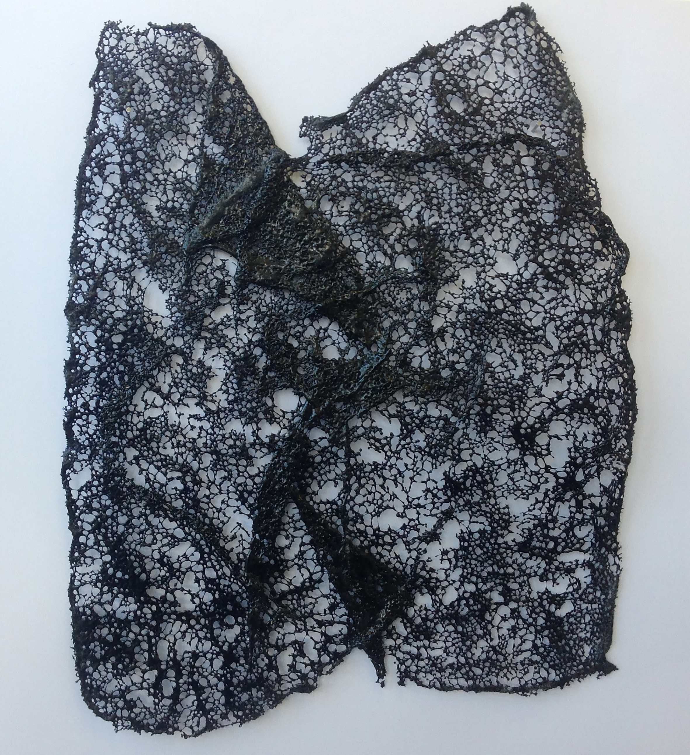 'Painted Veil'