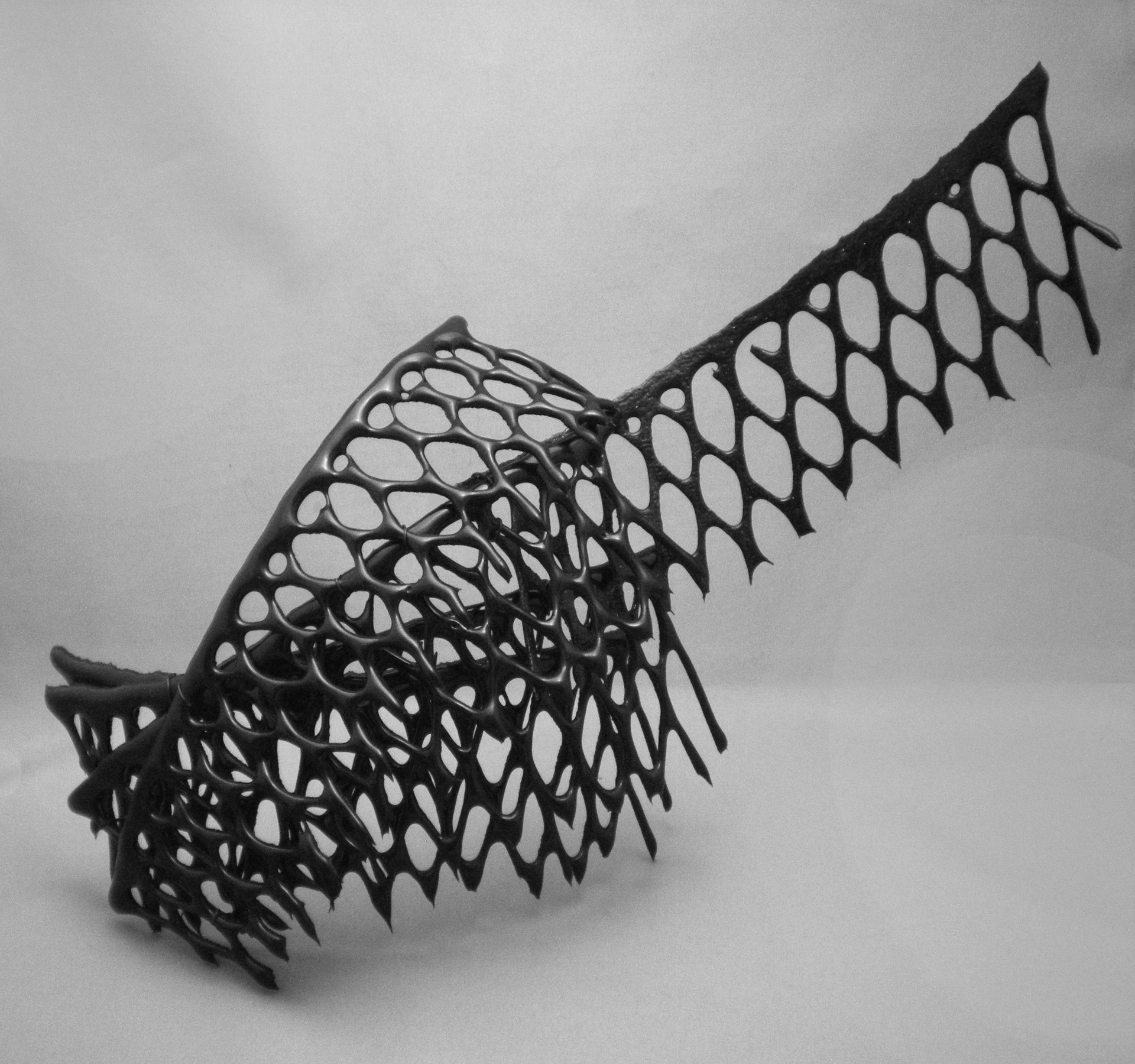 'The Fascinator'