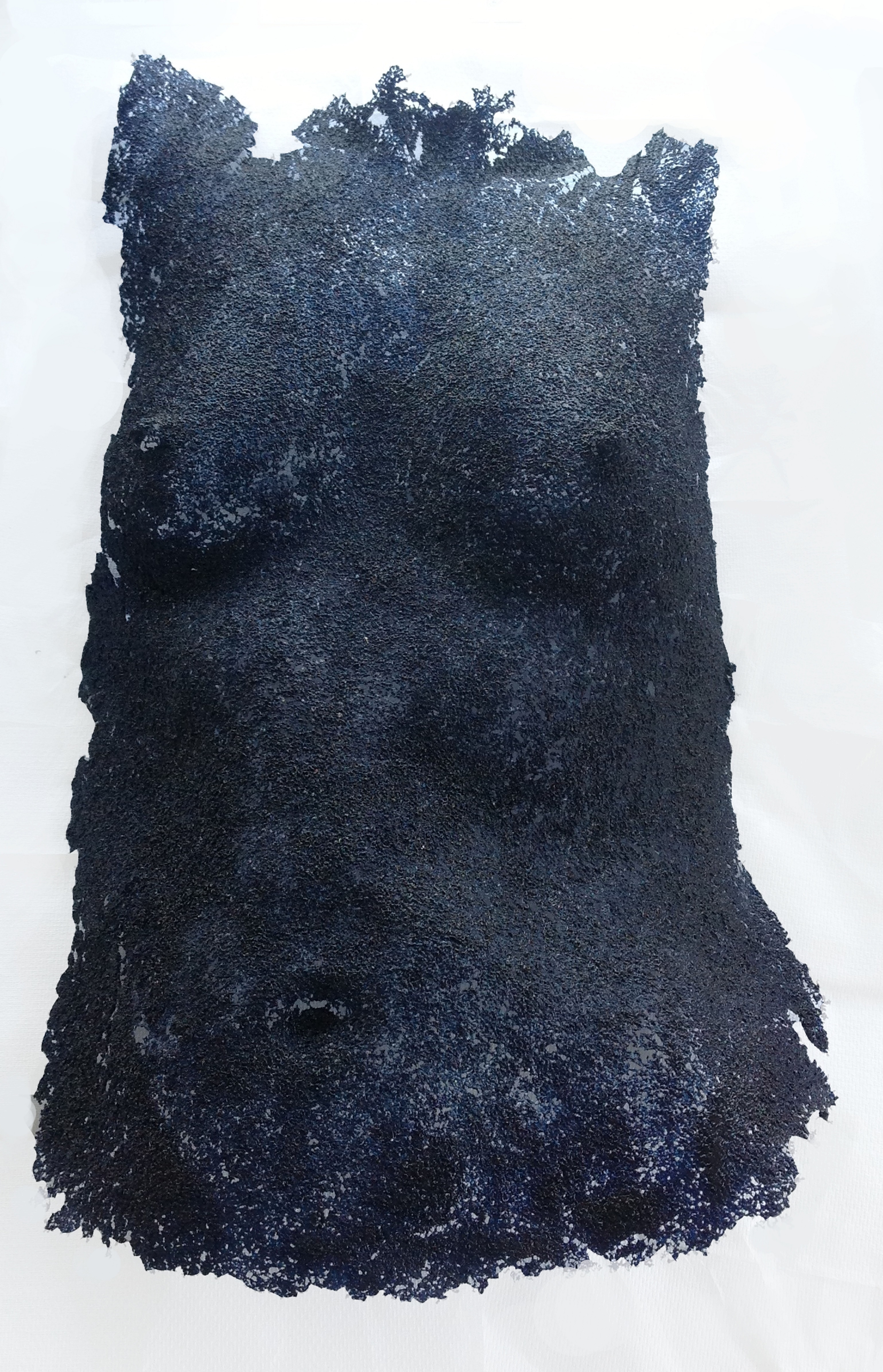 'Embodiment'