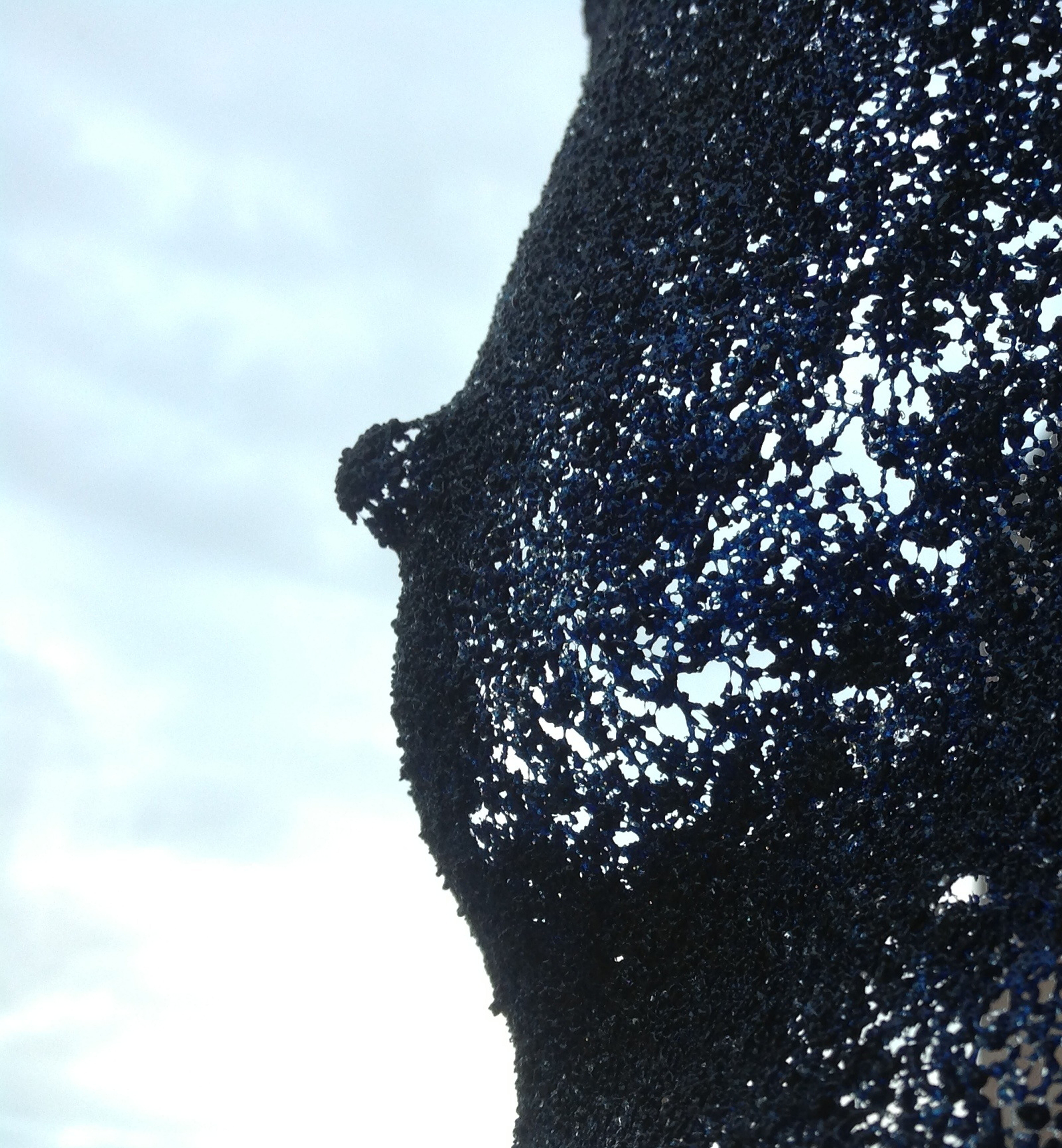 'Embodiment' detail