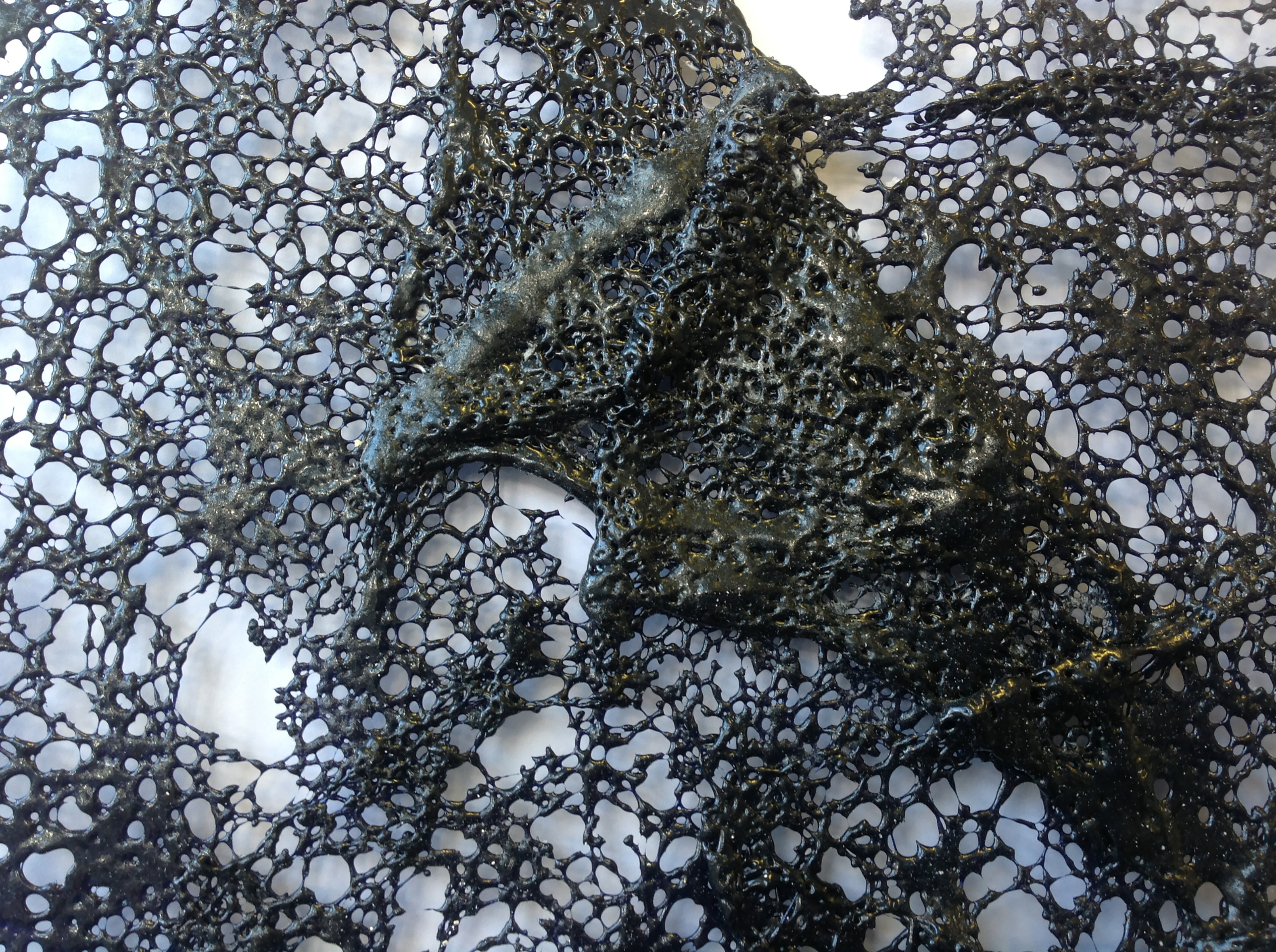 'Painted Veil' detail