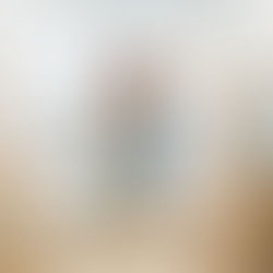 Professional House Removals in Honiton | Stress-Free Move